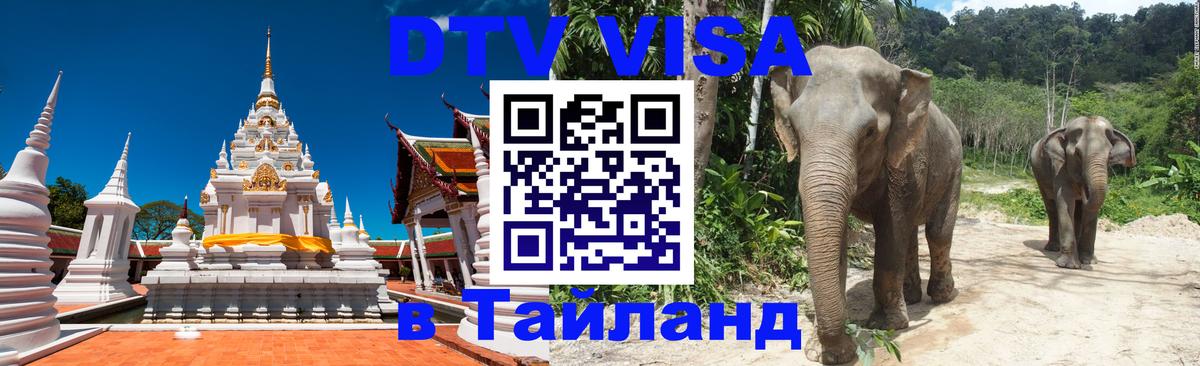Оформление DTV визы под ключ: стоимость и тарифы, только загранпаспорт - 